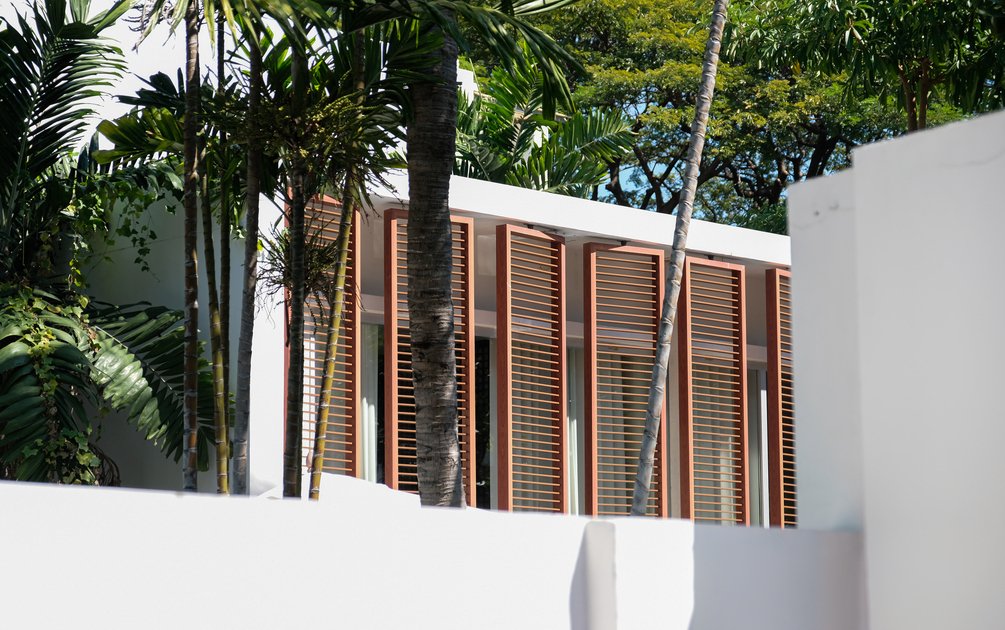 Fasad desain rumah modern tropis dengan secondary skin kayu vertikal dan vegetasi tropis di sekelilingnya