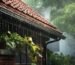 Atap rumah dengan talang air saat hujan deras, ilustrasi pentingnya tips merawat rumah saat musim hujan untuk mencegah kebocoran