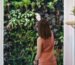 Taman vertikal indoor dengan tanaman hijau lebat sebagai vegetasi penyerap polutan di rumah modern