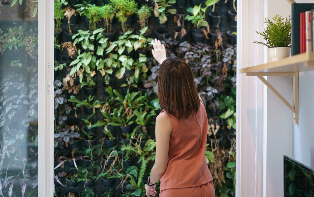 Taman vertikal indoor dengan tanaman hijau lebat sebagai vegetasi penyerap polutan di rumah modern